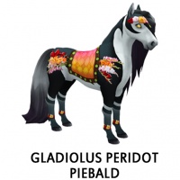 Gladiolus Peridot Piebald