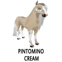 Pintomino Cream