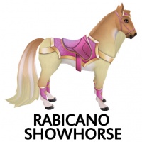 Rabicano Showhorse