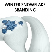 Winter Snowflake Branding