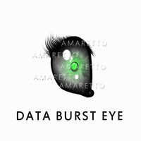 Limited Data Burst Eye