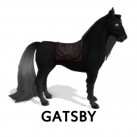 Gatsby Blanket