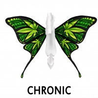 Chronic