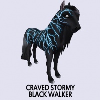 Craved Stormy Black Walker