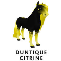 Duntique Citrine