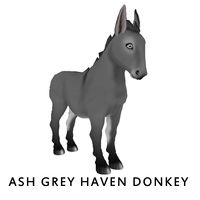 Ash Grey Haven Donkey