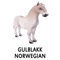 Gulblakk Norwegian