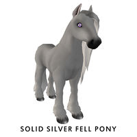 Solid Silver Fell Pony