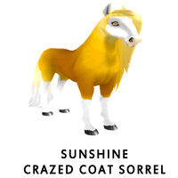 Sunshine Crazed Coat Sorrel