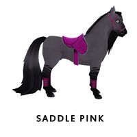 Saddle Pink