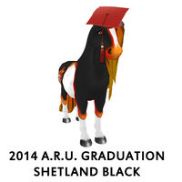 2014 A.R.U. Graduation Shetland Black