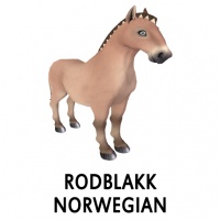 Rodblakk Norwegian