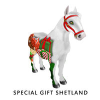 Amaretto Limited Edition Horse – Special Gift Shetland