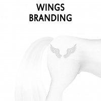 Wings Branding