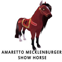 Amaretto Mecklenburger Show Horse