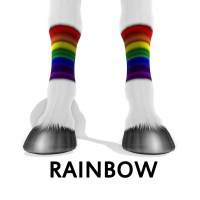 Rainbow Socks