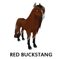 Red Buckstang