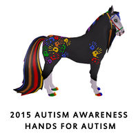 2015 Autism Awareness Hands for Autism