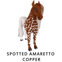 Spotted Amaretto Copper