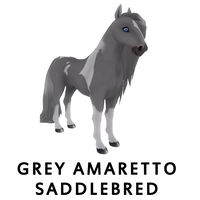 Grey Amaretto Saddlebred