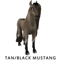 Tan/Black Mustang