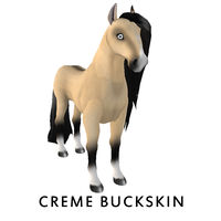 Crème Buckskin