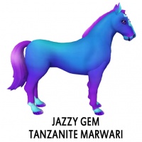 Jazzy Gem - Tanzanite Marwari