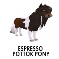 Espresso Pottok Pony