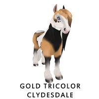 Gold Tricolor Clydesdale