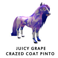 Juicy Grape Crazed Coat Pinto