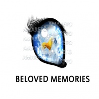 Beloved Memories