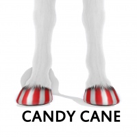 Hoof Candy Cane