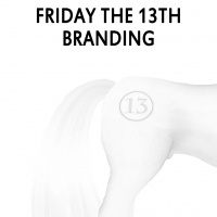 Friday the 13th Branding