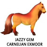 Jazzy Gem - Carnelian Exmoor