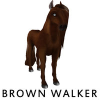 Brown Walker