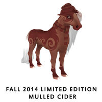 Fall 2014 Limited Edition - Mulled Cider