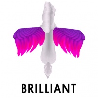 Brilliant Wing