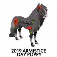 2019 Armistice Day - Poppy