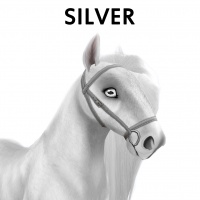 Silver Bridle