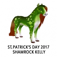 St. Patrick's Day 2017 - Shamrock Kelly