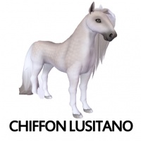 Chiffon Lusitano