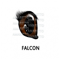 Falcon