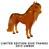 Limited Edition Give Thanks 2013- Umber