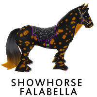 Showhorse Falabella