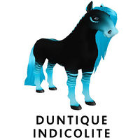 Duntique Indicolite