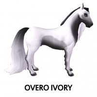 Overo Ivory