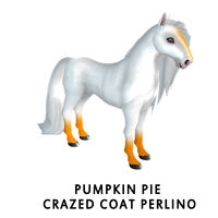 Pumpkin Pie Crazed Coat Perlino