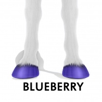 Blueberry