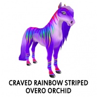 Craved Rainbow Striped Overo Orchid