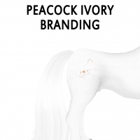 Peacock Ivory